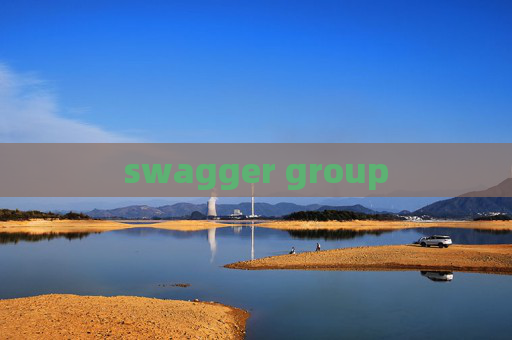 swagger group